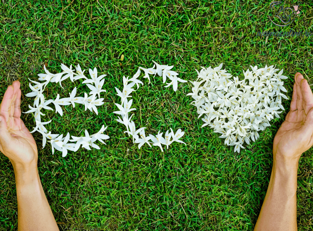 Mami eco-friendly: soluții pentru un stil de viață mai sustenabil și prietenos cu mediul