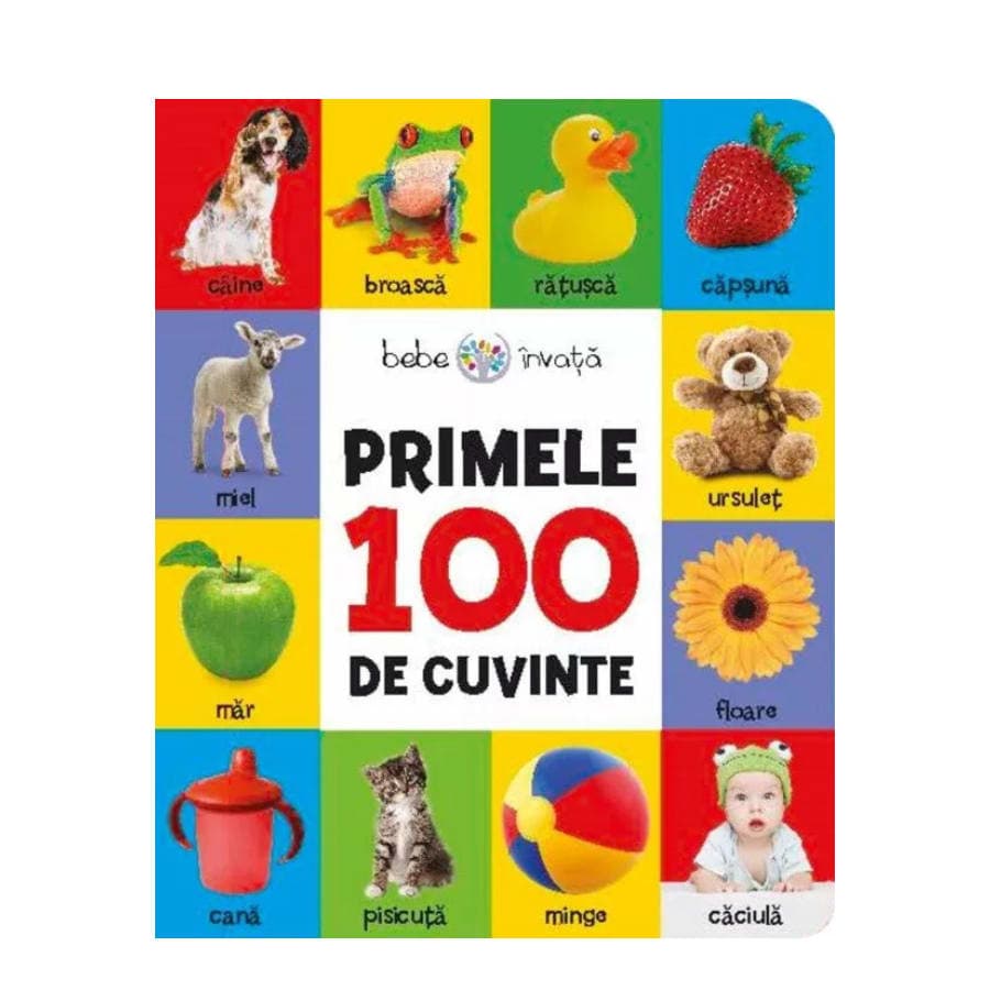 Carte Bebe Invata Primele 100 de cuvinte (format mediu)