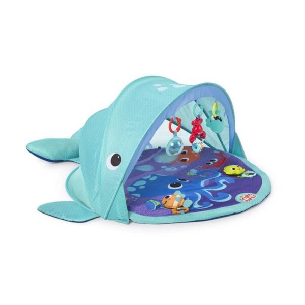 Bright Starts - Salteluta de activitati Explore & Go Whale