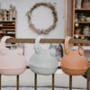 BIBS - Bavetica pentru diversificare si hranire, Earth