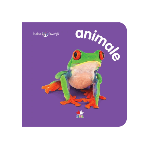 bebe invata animale