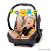 Bright Starts - Bara de jucarii cu lumini si sunete Take Along - imagine 4