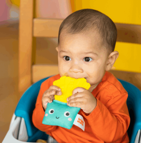 Bright Starts - Jucarie de dentitie French Fries - imagine 3