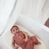 BabyBjorn - Baldachin pentru patut pliabil co-sleeper, Alb - imagine 4