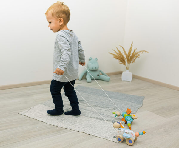 ZOPA - Jucarie multifunctionala Unicornul Plimbaret - imagine 3