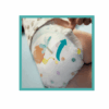pampers active baby 6