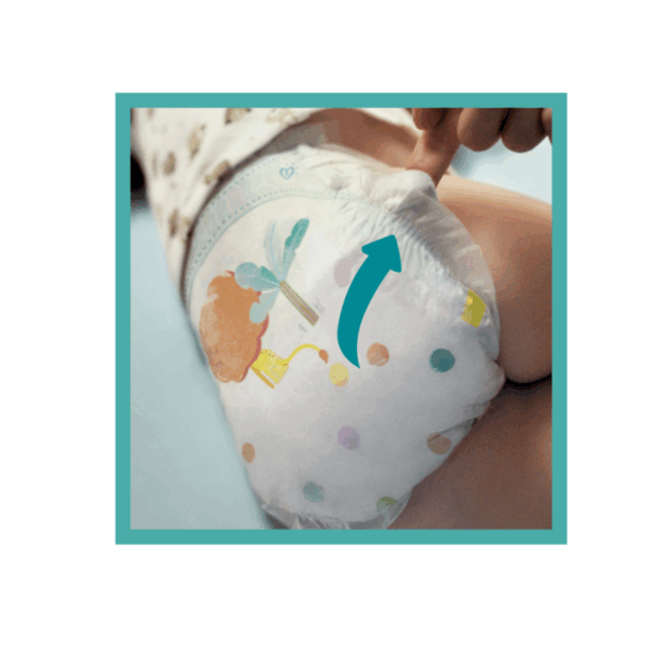 pampers active baby 6