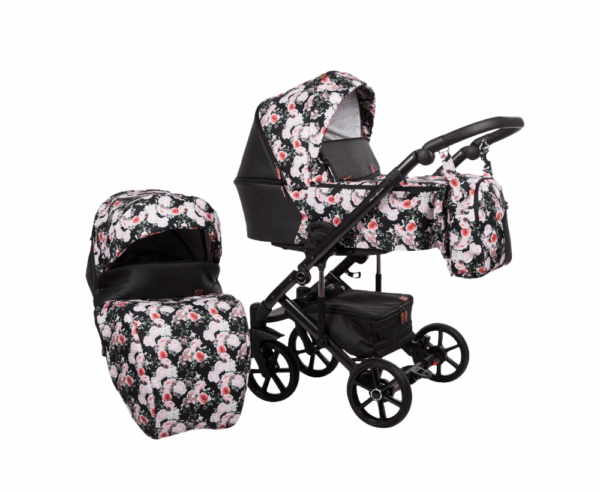 carucior 3 in 1