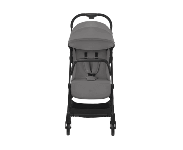 carucior sport