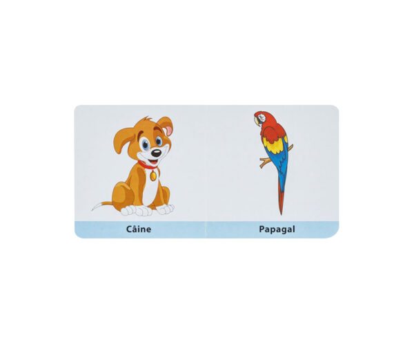 Mica mea carte despre Animale - imagine 2