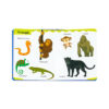 Primele mele 100 animale - imagine 2
