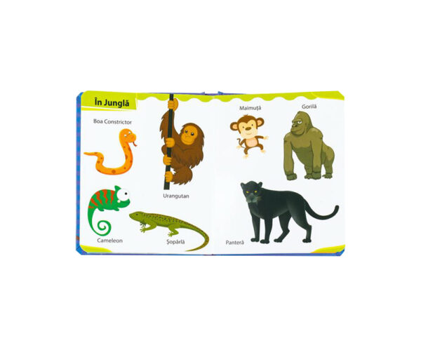 Primele mele 100 animale - imagine 2