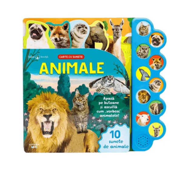 carte educativa