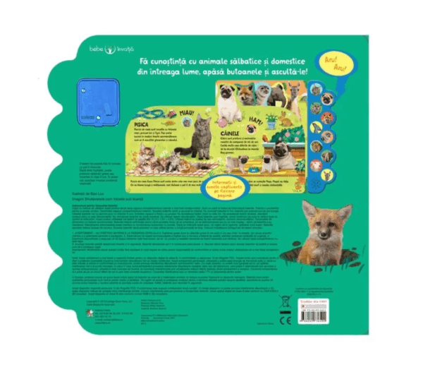 carte educativa