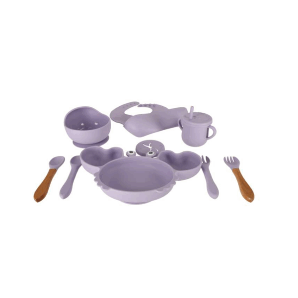 Set 9 piese diversificare bebelusi