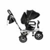 tricicleta copii 3 in 1