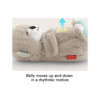 Vidra Fisher-Price