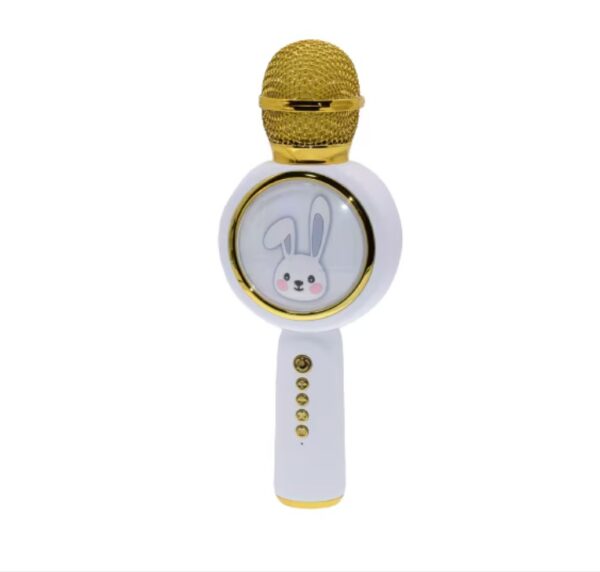 microfon karaoke copii
