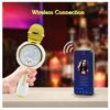 microfon karaoke copii