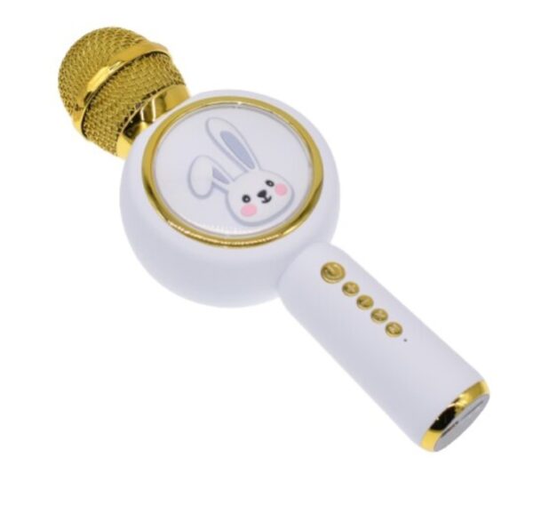 microfon karaoke copii