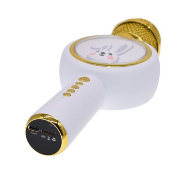 microfon karaoke copii