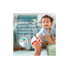pampers pants premium care